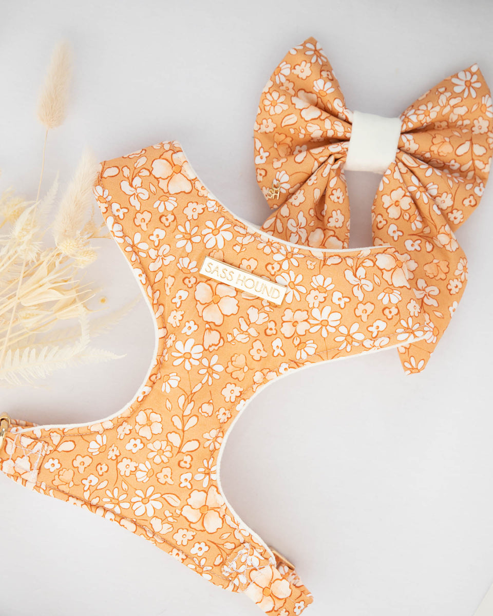 Lily Dog Harness Handmade Luxury Pet Apparel Sass Hound