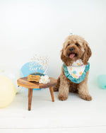 Load image into Gallery viewer, Birthday Pawty Hat
