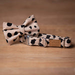 Load image into Gallery viewer, Sasha Dog Collar