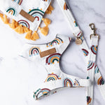 Load image into Gallery viewer, Rainbow Dog Harness
