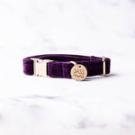 Load image into Gallery viewer, Elizabeth Velvet Dog Collar
