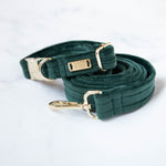 Load image into Gallery viewer, Ollie Velvet Dog Collar