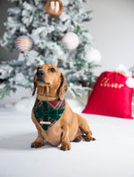 Load image into Gallery viewer, Lumi Dog Bandana
