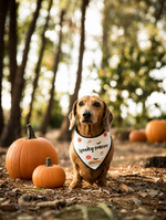 Load image into Gallery viewer, Spooky Season Halloween Dog Bandana
