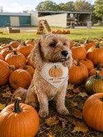 Load image into Gallery viewer, Hey Pumpkin Halloween Dog Bandana
