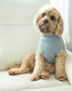Load image into Gallery viewer, Otis Sweater
