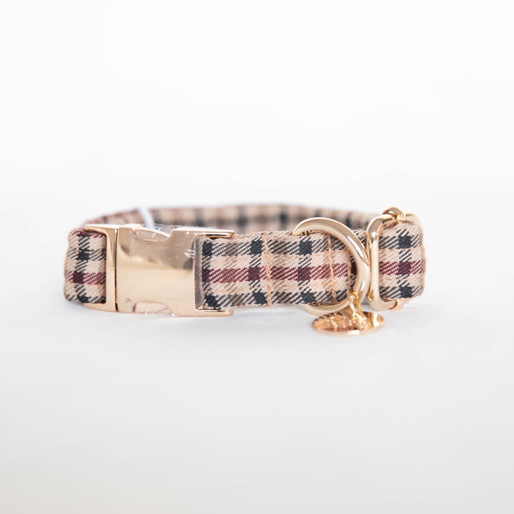 Arlo Dog Collar