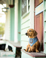 Load image into Gallery viewer, Dusty Dog Bandana
