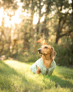 Load image into Gallery viewer, Sage Puffer Dog Jacket

