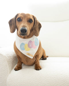 Personalised Easter Egg Dog Bandana