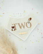 Load image into Gallery viewer, Teddy Birthday Dog Bandana
