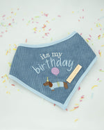 Load image into Gallery viewer, Weenie Birthday Dog Bandana
