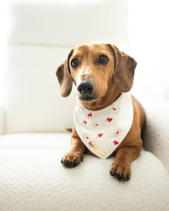 Love Notes Dog Bandana