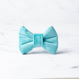 Tommy Dog Bow Tie