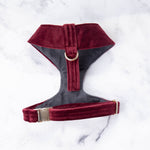 Load image into Gallery viewer, Coco Velvet Dog Harness

