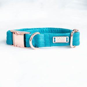 Aquarius Dog Collar