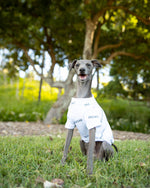 Load image into Gallery viewer, White Signature Sass Hound Tee
