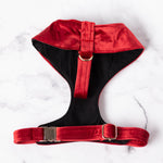 Load image into Gallery viewer, Amore Velvet Dog Harness

