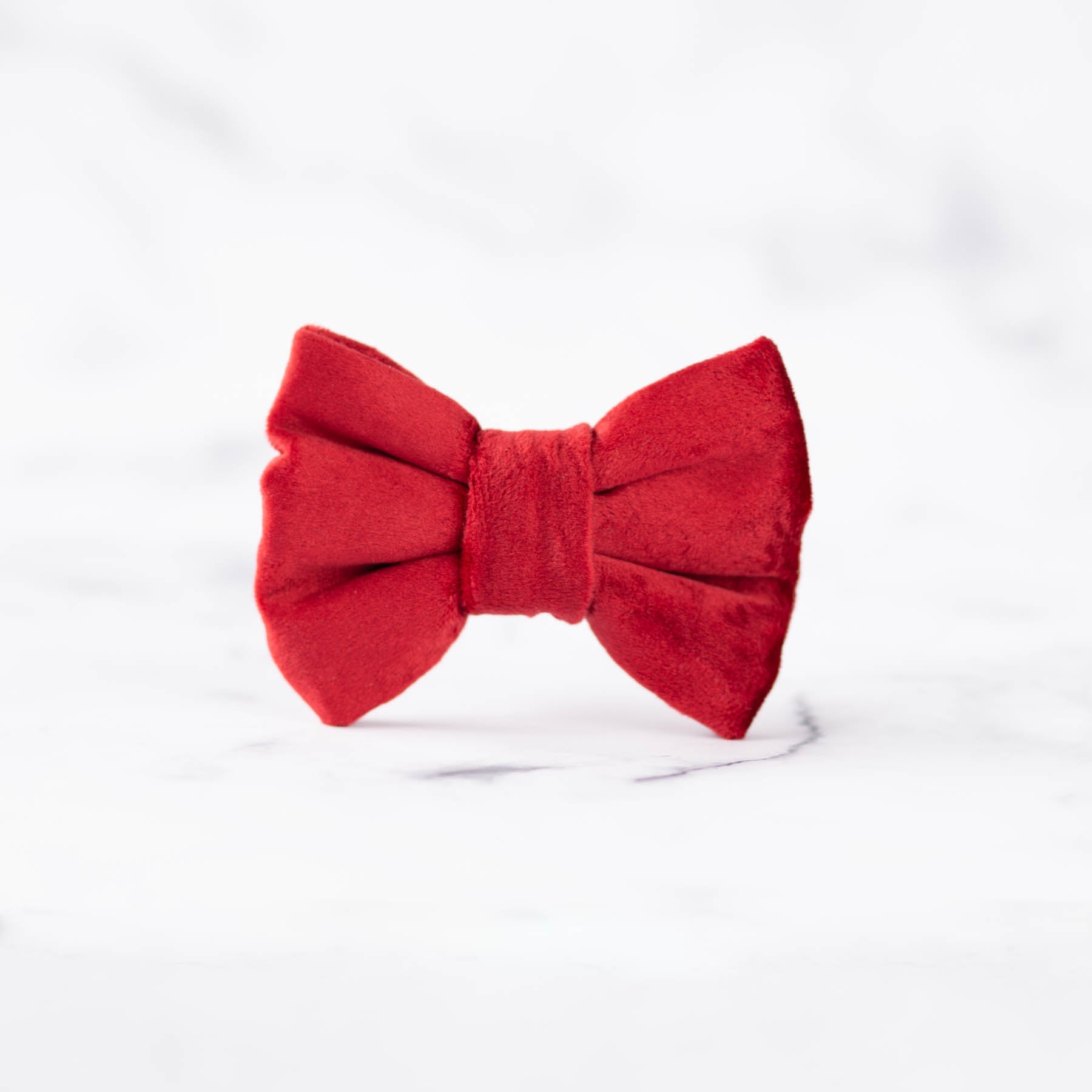 Amore Dog Bow Tie
