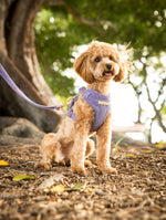 Load image into Gallery viewer, Grape Corduroy Dog Lead

