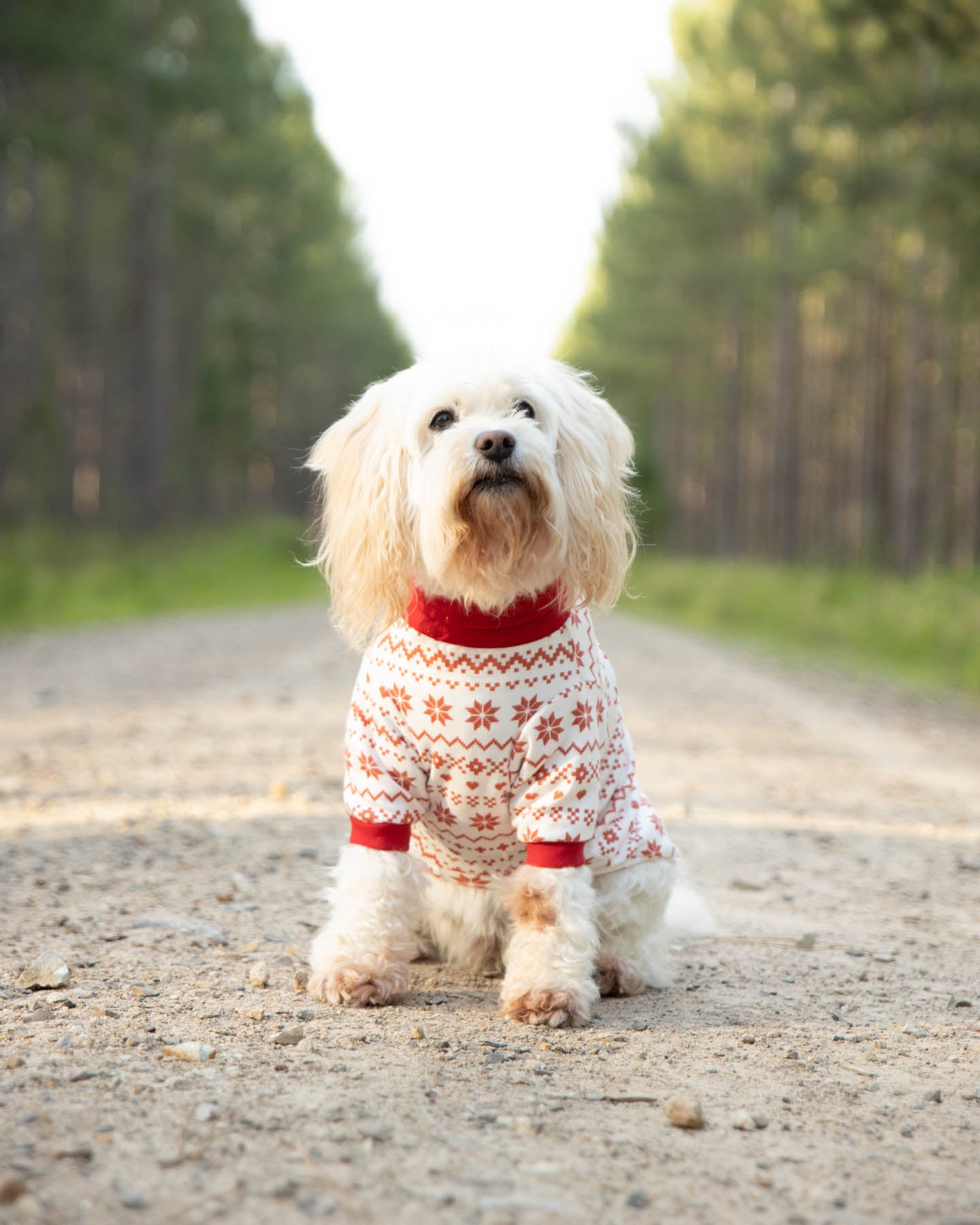 Cherry Christmas Tee