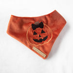 Load image into Gallery viewer, Jill-o&#39;-lantern Velvet Glow in the Dark Halloween Dog Bandana
