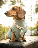 Load image into Gallery viewer, Lachie Strap Dog Harness
