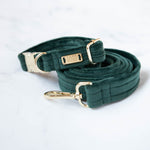 Load image into Gallery viewer, Ollie Velvet Dog Collar
