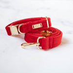 Load image into Gallery viewer, Amore Velvet Dog Collar
